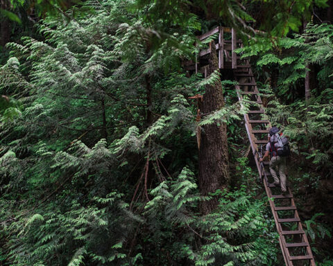 Backpacking Vancouver Island