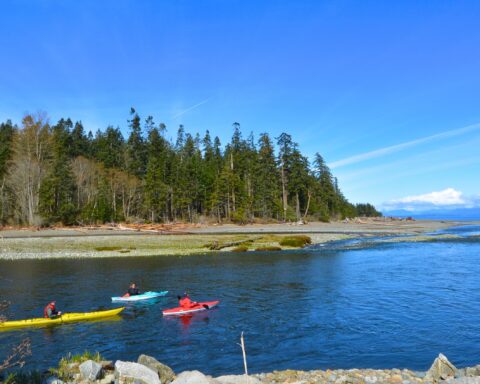 Black Creek Vancouver Island