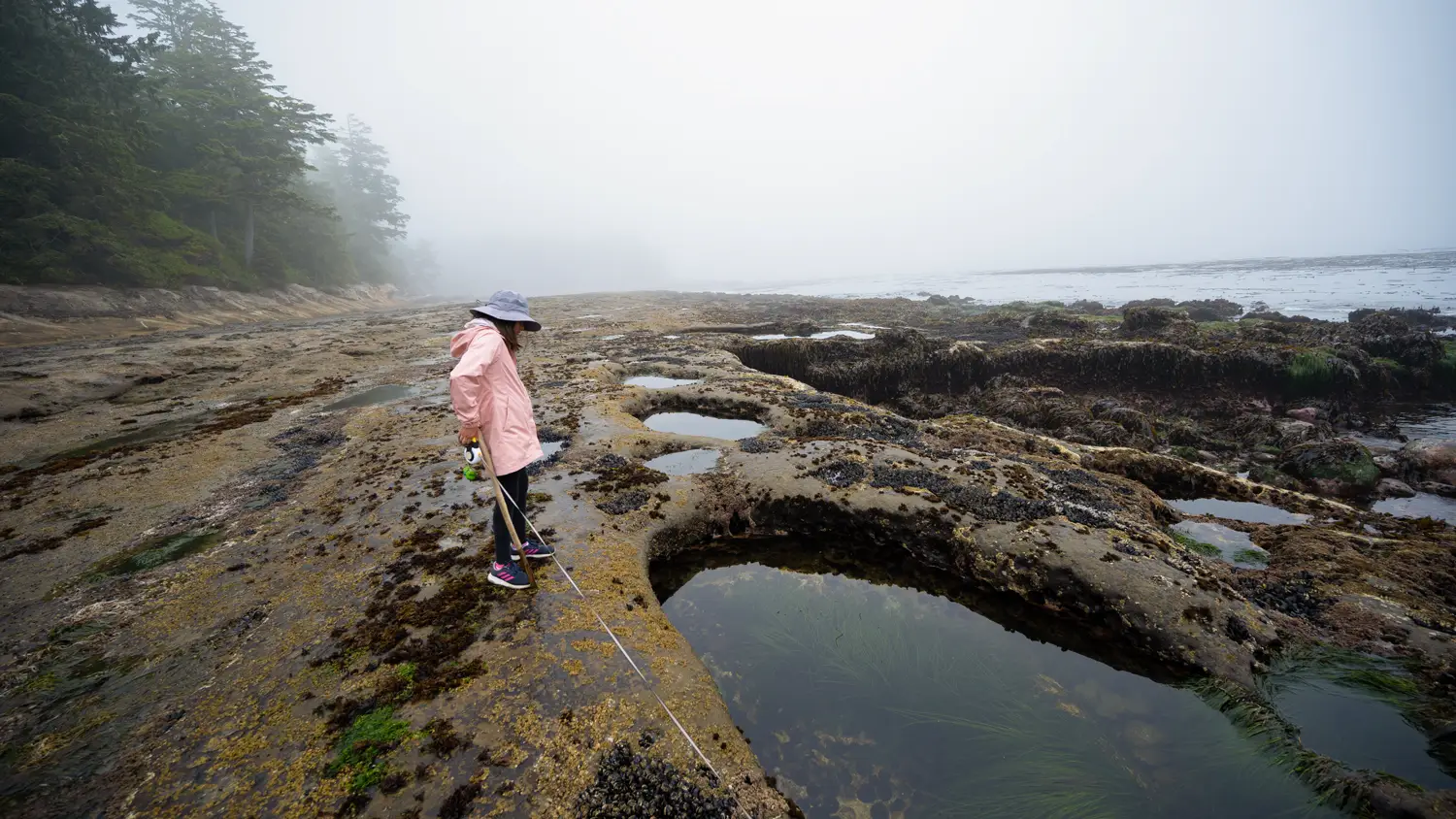 Botanical Beach on Vancouver Island