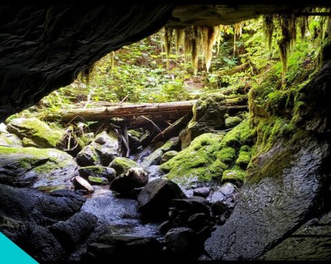 Caves in Vancouver Island