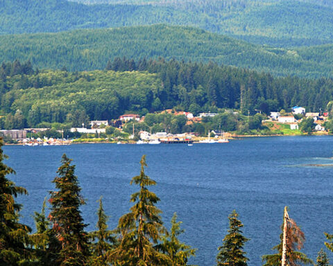 Coal Harbour Bc Vancouver Island