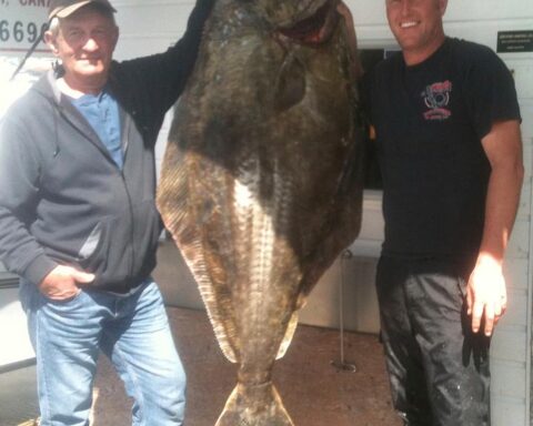 Halibut Fishing Vancouver Island