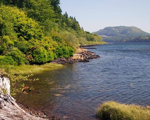 Holberg Vancouver Island