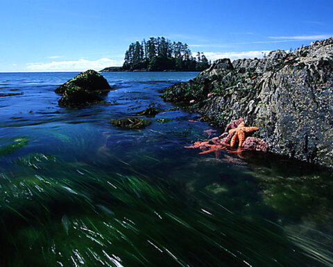 Long Beach Vancouver Island British Columbia