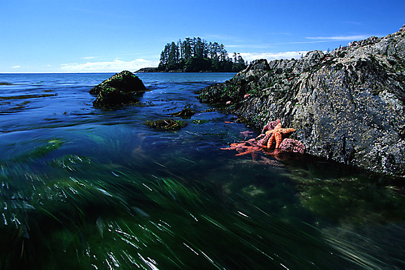 Long Beach Vancouver Island British Columbia