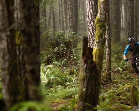 Mountain Biking Vancouver Island