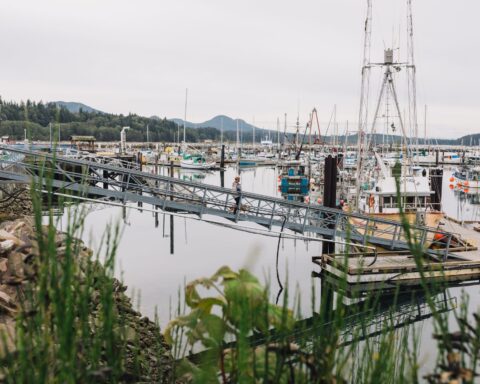 Port Mcneill Vancouver Island