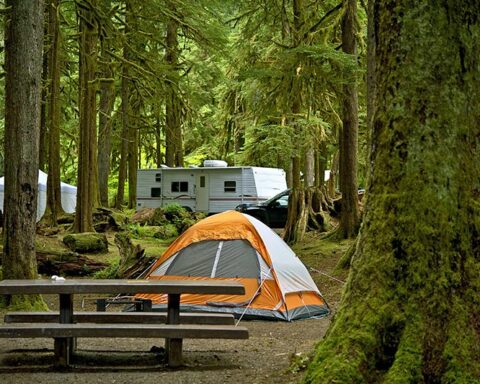 Ucluelet Campground Vancouver Island