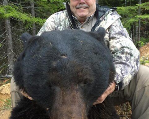 Vancouver Island Bear Hunts